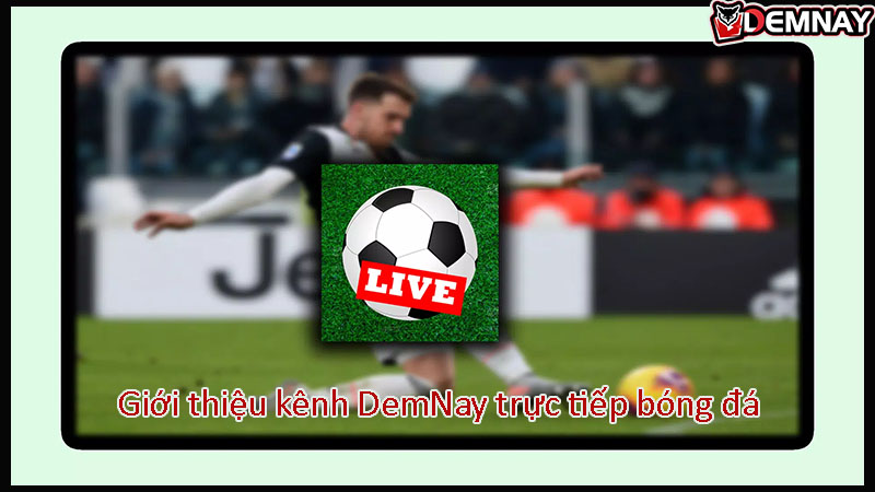 Giới thiệu kênh DemNay trực tiếp bóng đá - Xem bóng trực tuyến Demnaylive