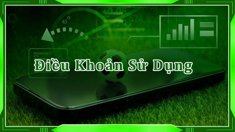 Điều khoản sử dụng